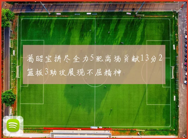 葛昭宝拼尽全力5犯离场贡献13分2篮板3助攻展现不屈精神